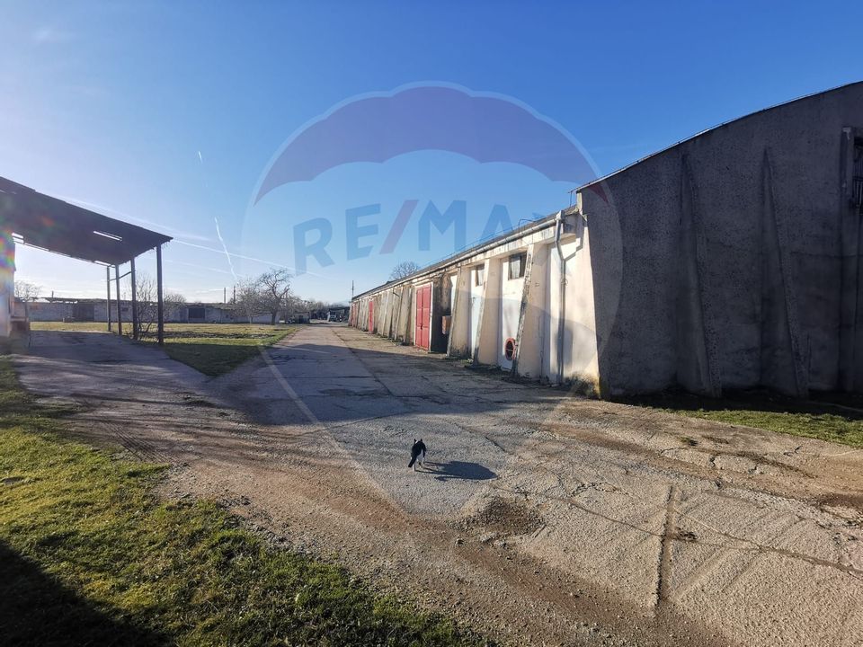 Hală Industrială De Închiriat în Seini 1500mp