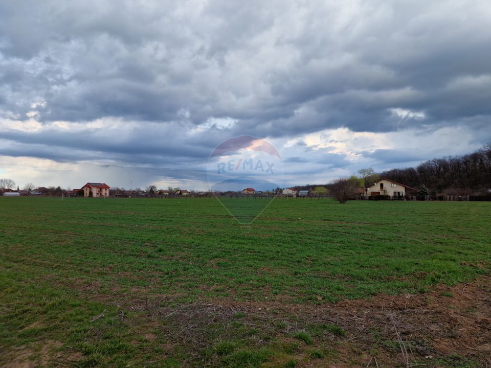 Land 11,000sqm Vladiceasca / Soseaua Vladiceasca