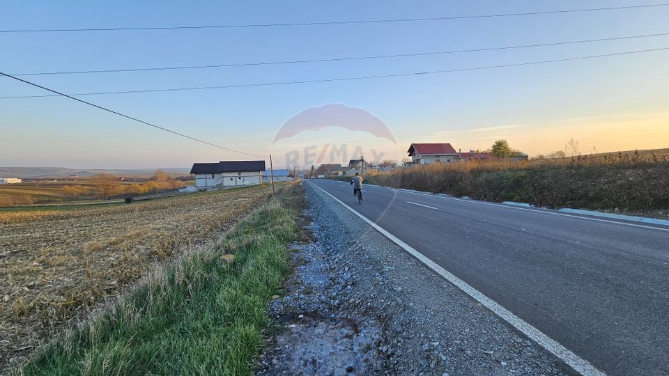Teren Extravilan 2500 mp-Stroiesti, Suceava