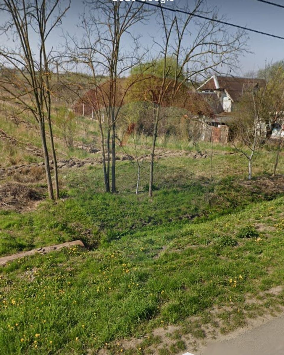 Teren 2.341 mp Uileacu de Munte front 25 ml la drum asfaltat