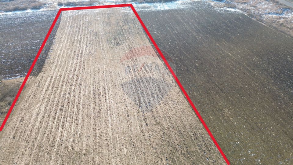 Teren pentru cabana 7.000mp in  Hoghilag, Tărâmul Tuberozelor