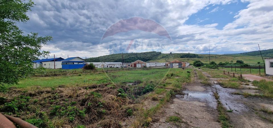 Teren  intravilan in sat Zapodia, com. Traian, jud. Bacău, 39.600mp,