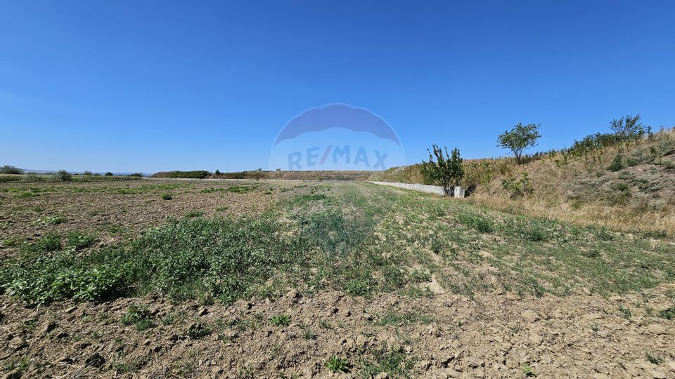 Land 52,115sqm Hutani / DJ DJ291