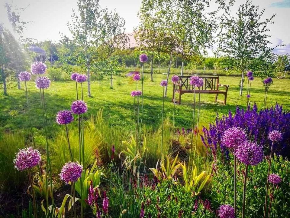 Oportunitate Investiție - Lavender Farm – Santăul Mic