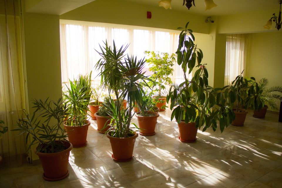 Hotel de vanzare la cateva minute de Podul Mogosoaia –Cu 40 de camere