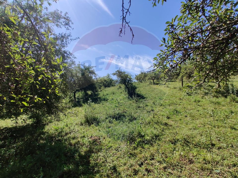 Land 3,718sqm Remetea Chioarului / Strada Livada