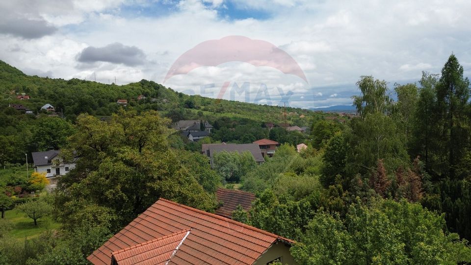 Land 1,650sqm Baia Mare / Strada Valea Borcutului