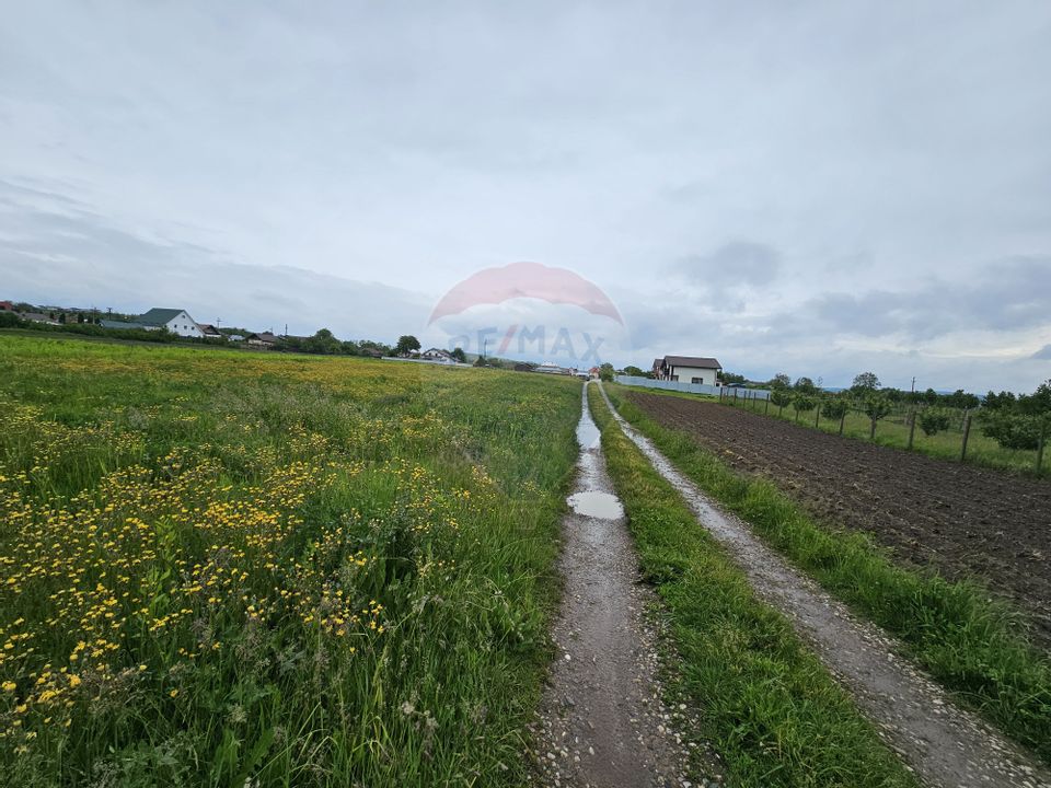 Teren 1,495mp Dobreni / Strada Parau Almas