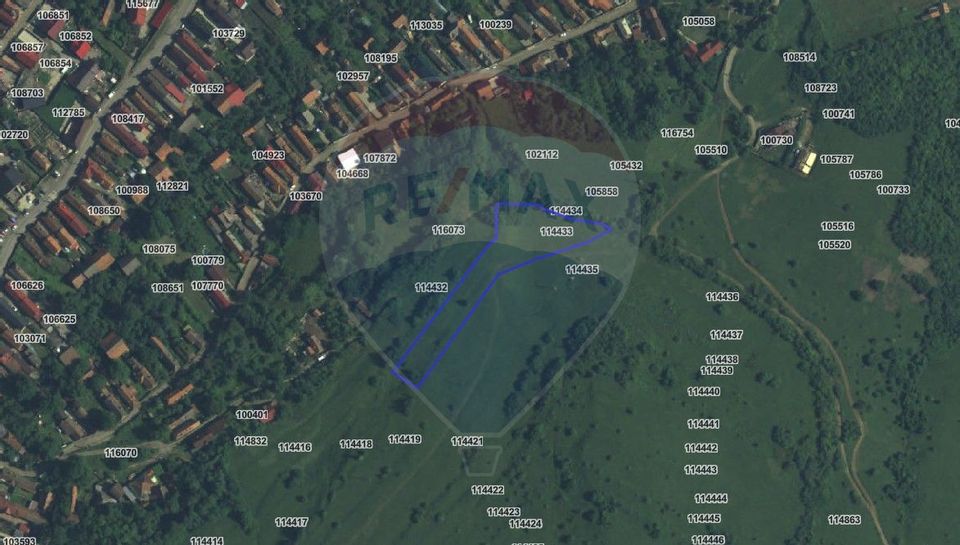 Teren extravilan, fâneaţă, 4000 mp, Tărlungeni