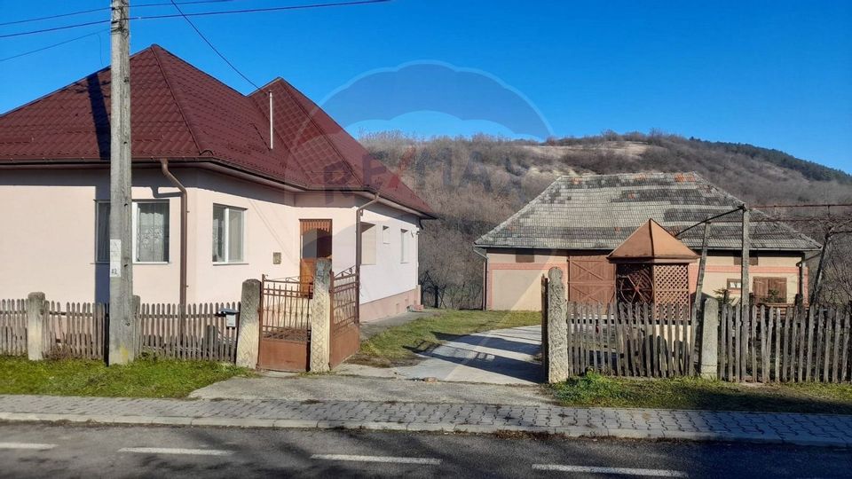 DE VANZARE- GOSPODARIE cu 95 arii teren