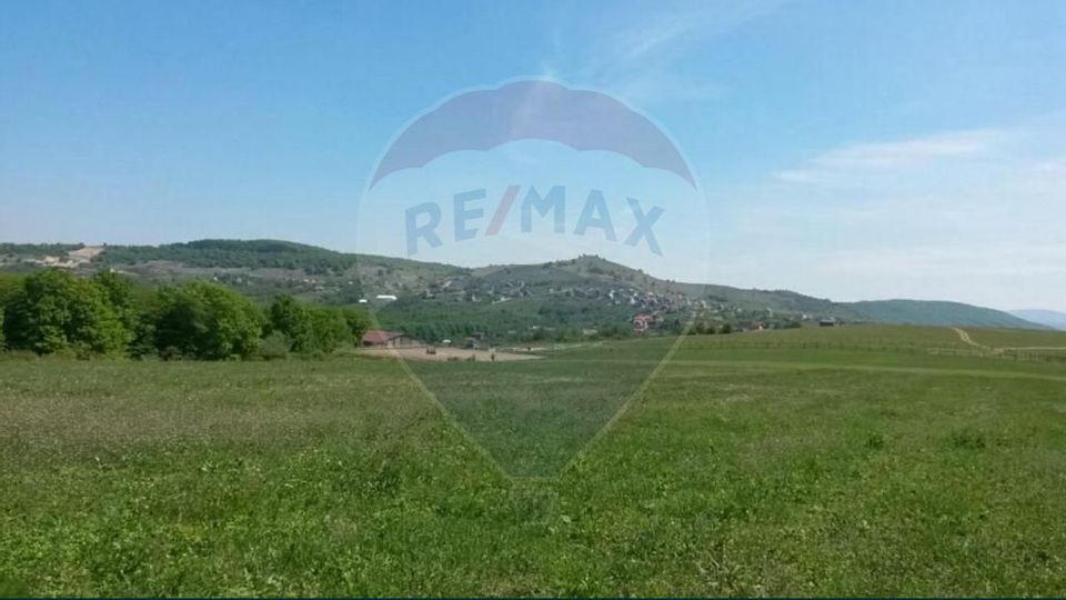 Land 3,000sqm Salicea / Soseaua Principala