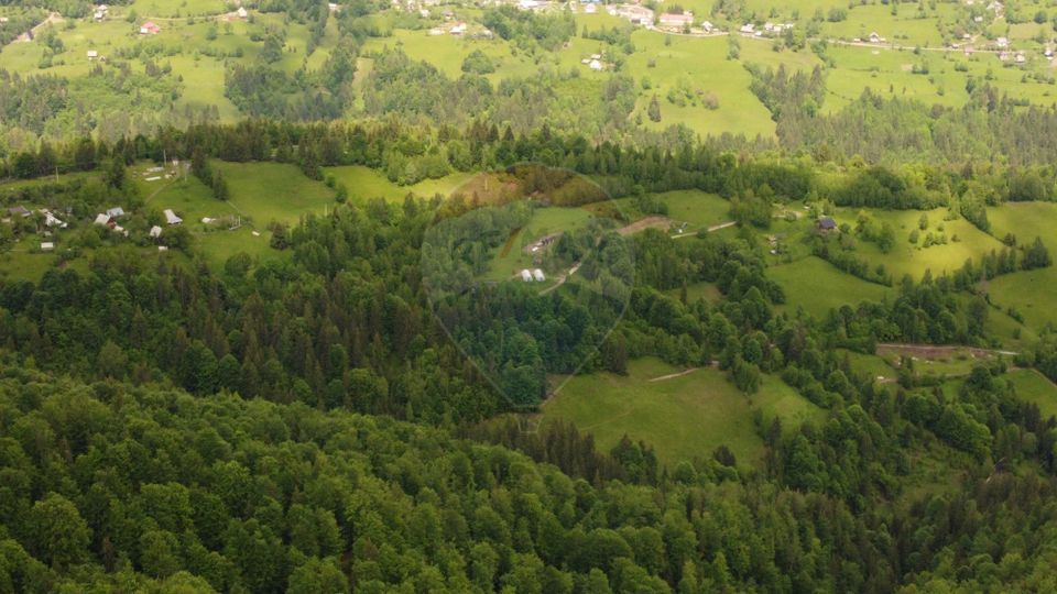 6,2 ha + business turistic activ | Munții Apuseni