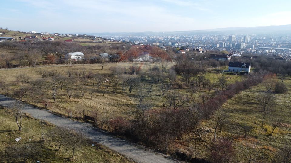 Teren 20.146 mp Dâmbu Rotund (Lomb).Extravilan.Potențial rezidențial