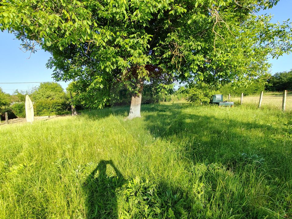 DE VÂNZARE – Gospodărie tradițională, Sat Remeți Pe Someș