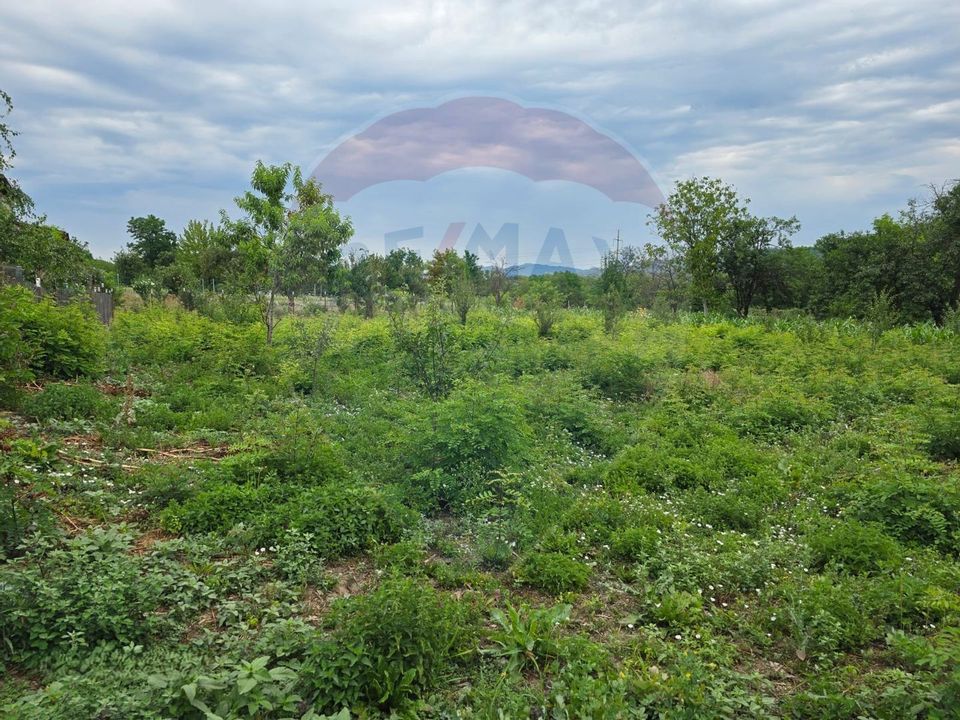 3 room House / Villa for sale