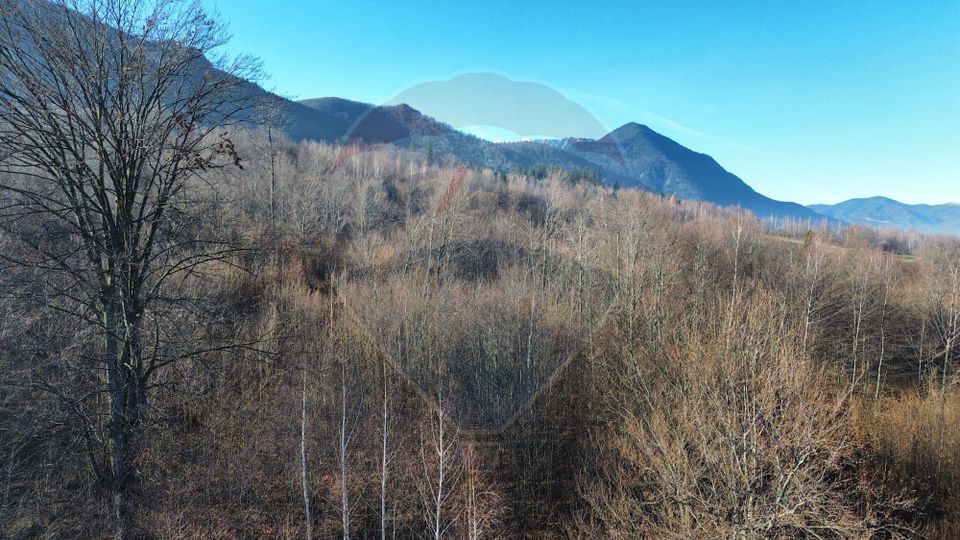 Casă / Vilă cu 7 camere   în zona Bran-Tohanita