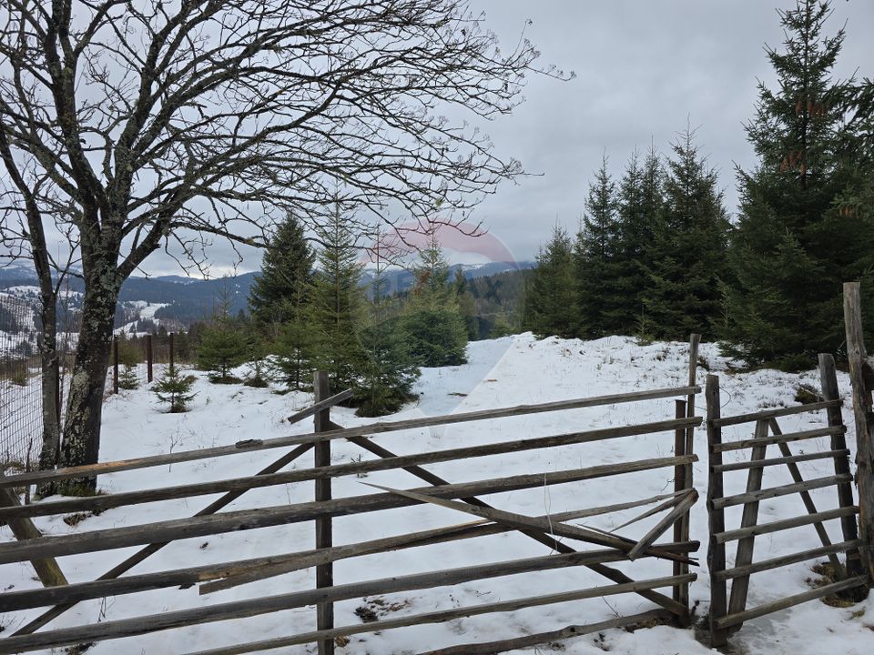 Teren 3,868mp Dorna-Arini / Strada Principala