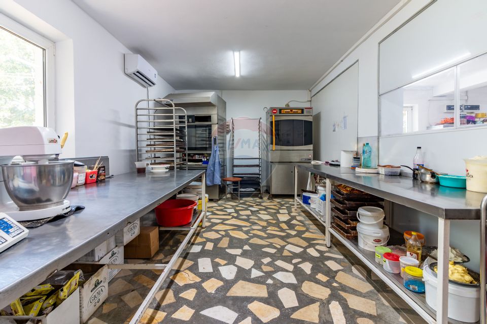 Casa+Laborator+ Teren 12.700 mp + casa de vacanta - Bolintin Vale