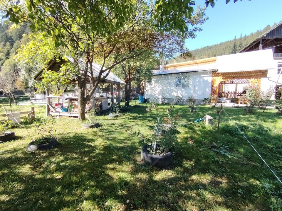 Casă în Vatra Dornei, zona Argestru, cu 11.541m.p. TEREN INTRAVILAN