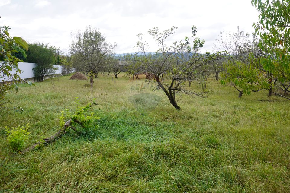 Teren 6,458mp Sighetu Marmatiei / Strada Doboies