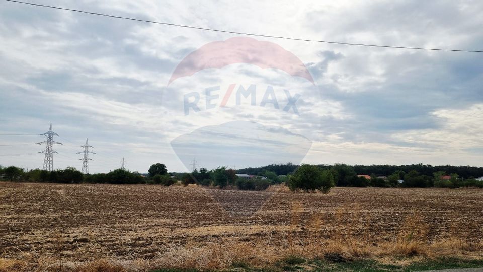 Vanzare Teren Balotesti / Strada Lacul Vlasia