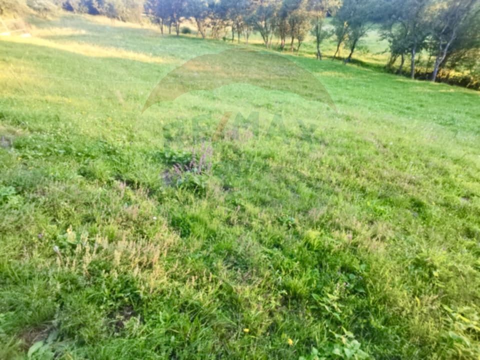 Land 6,900sqm Breb / Drumul secundar