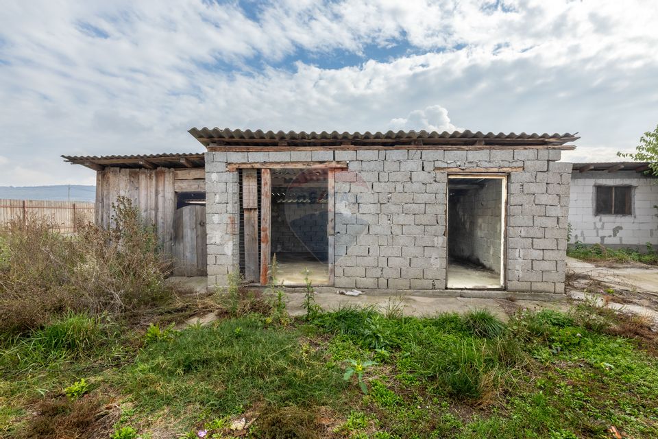 Casă spatioasa in Pancota ideala pentru doua familii