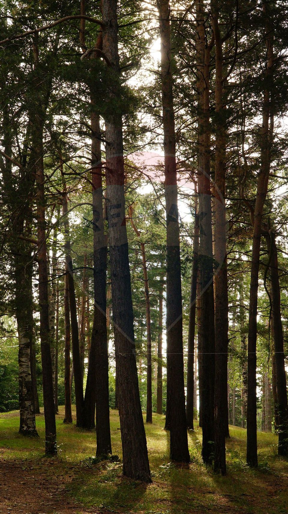 Guesthouse for sale | 12 rooms | Bisoca / Buzau