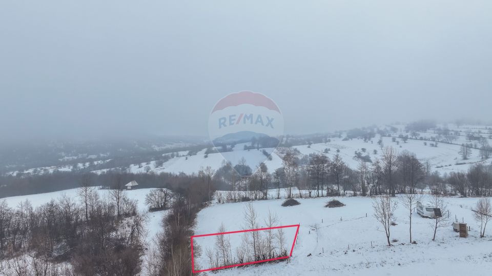 Land 500sqm Zarnesti / Strada Pe tarina