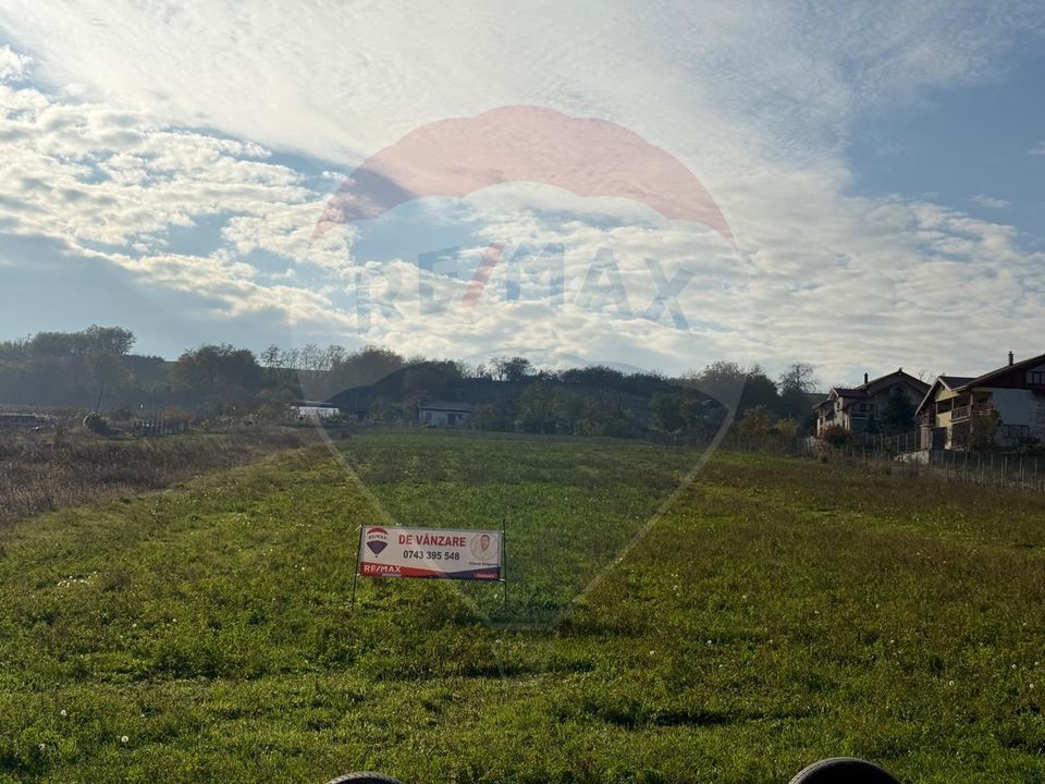 Land 9,900sqm Fantanele (Hemeius) / Strada drumul asfaltat Fantanele