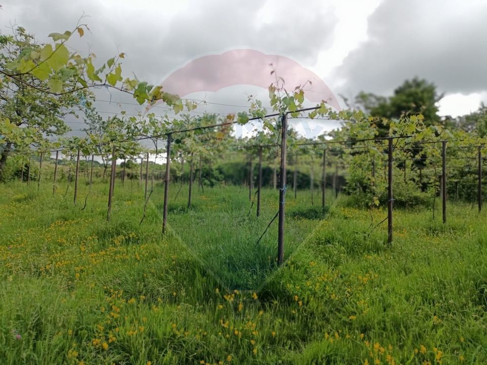 4 room House / Villa for sale