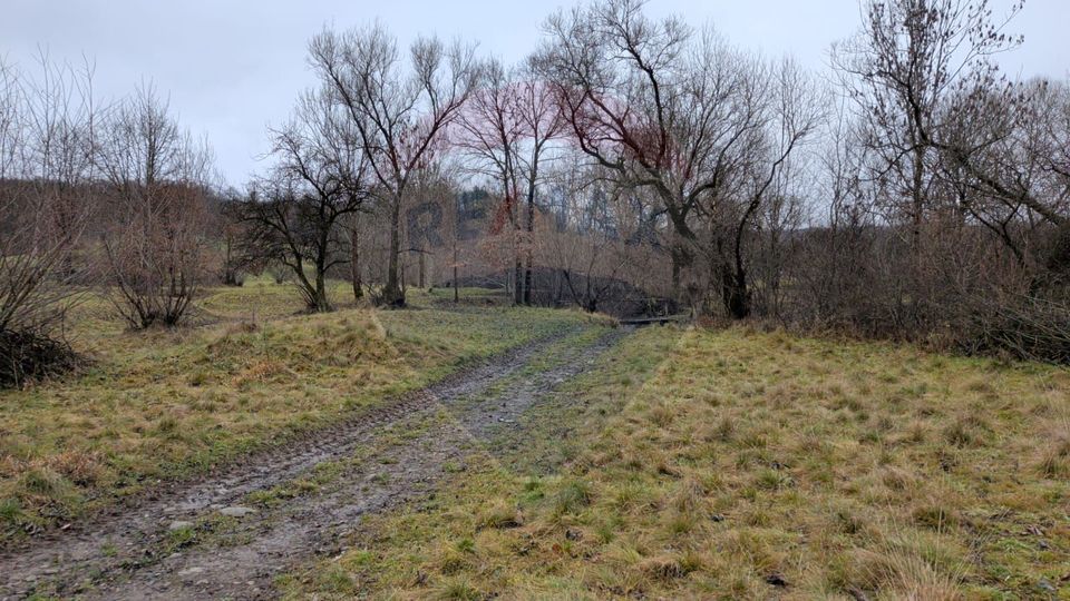 Land 2,932sqm Sarbi (Budesti) / Drumul Principal