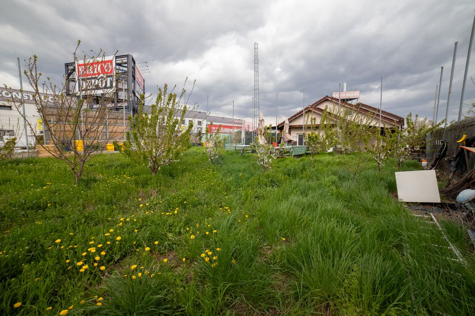 21 room Hotel / Pension for sale, Calea Romanului area