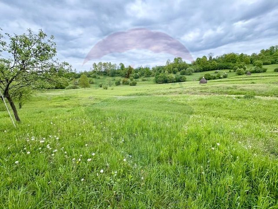 Land 20,876sqm Breb / Drumul Principal