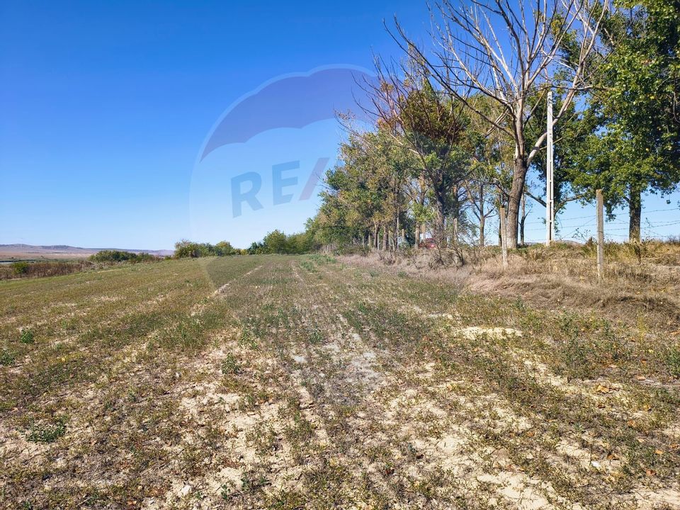 Teren extravilan de vanzare in Tulcea