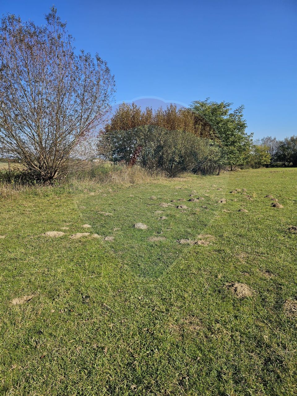 Land 6,636sqm Cisnadioara / Strada DJ106D