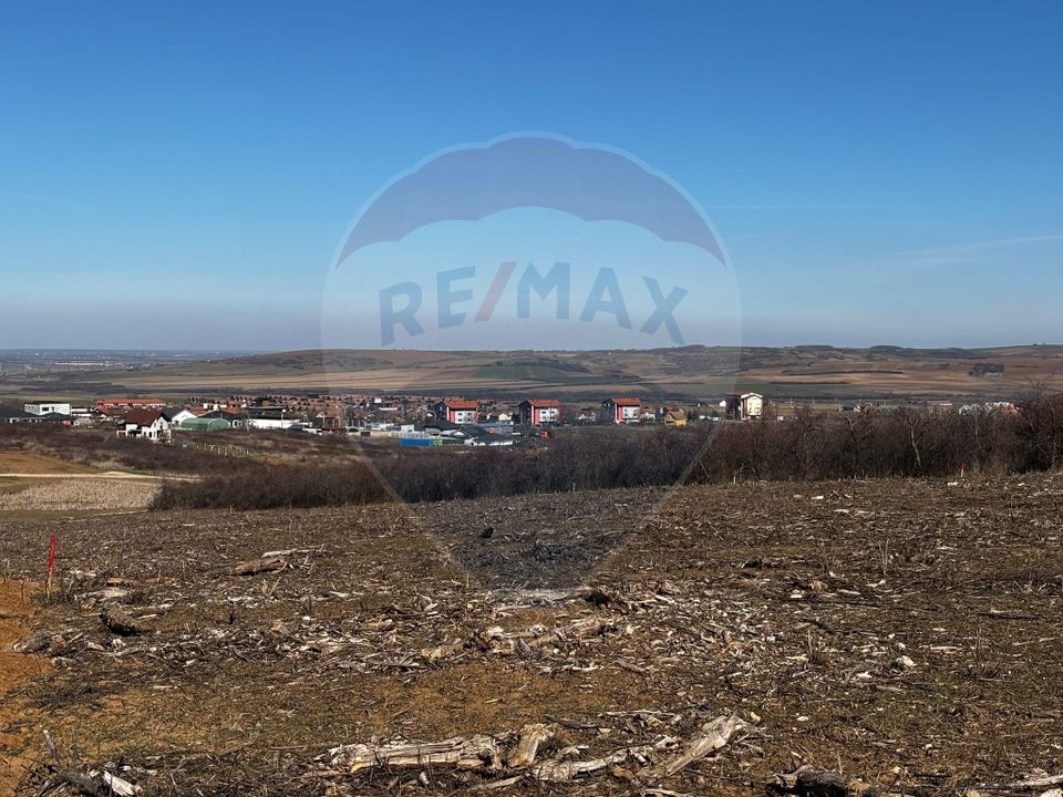 Land 618sqm Paleu / Strada Piersicilor