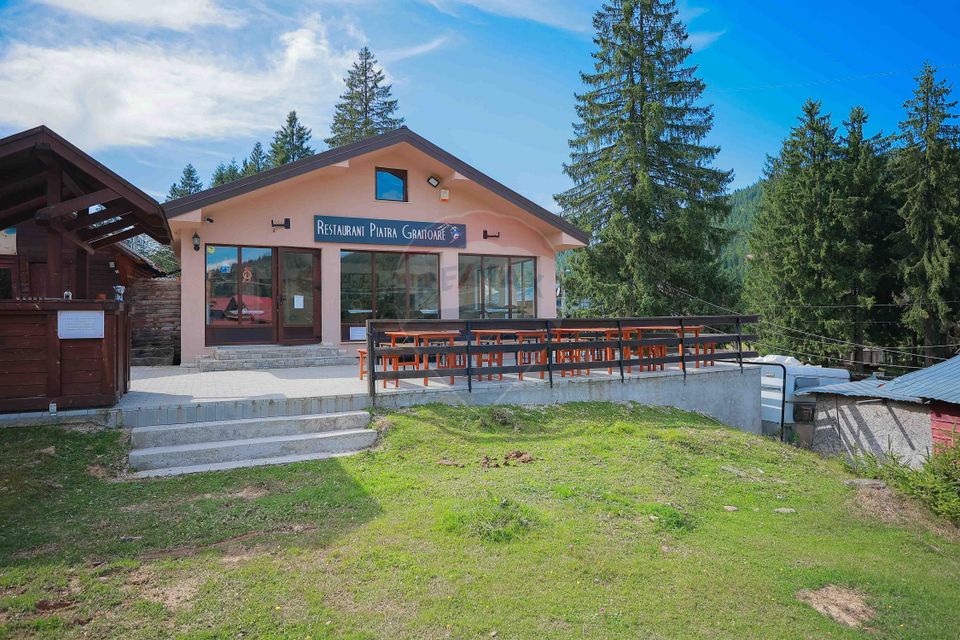 10 room Hotel / Pension for sale, Nord-Vest area
