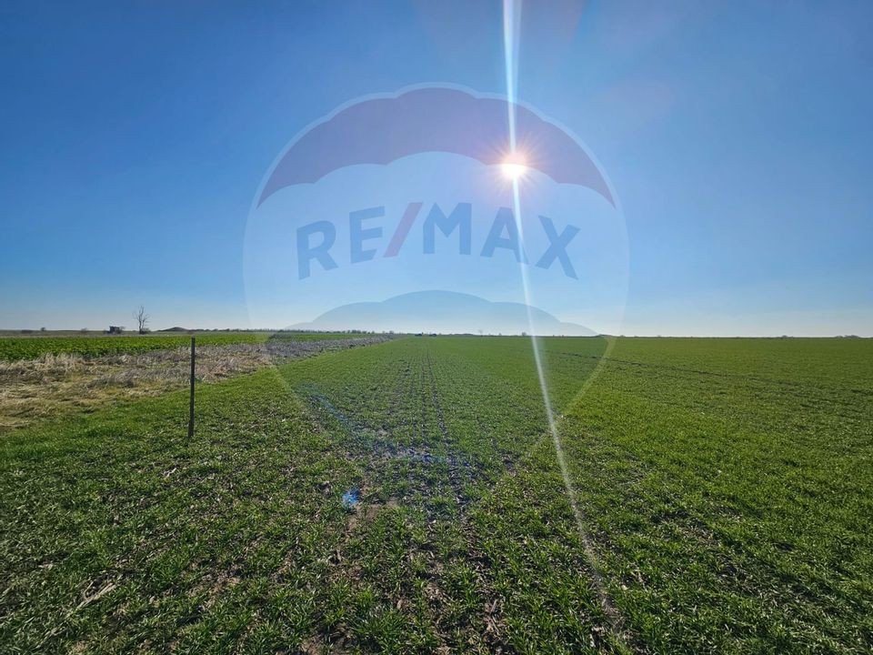 Land 1,127sqm Vama Veche / Strada A474/6/1/3/5