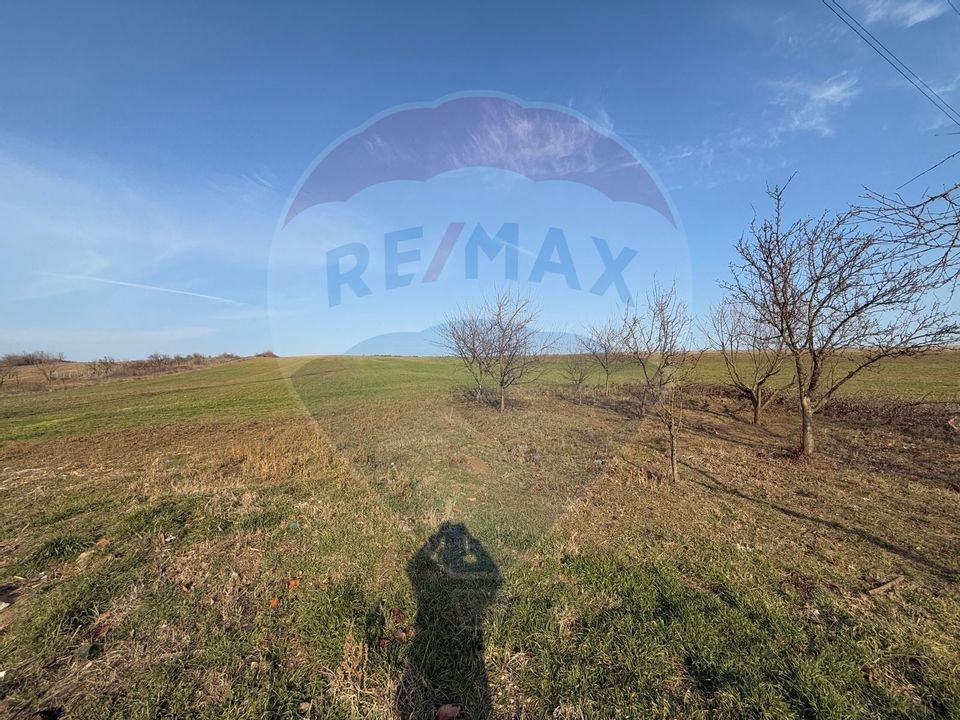 Teren Intravilan Almaj/Mosneni 1350mp