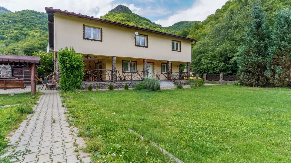 10 room House / Villa for sale