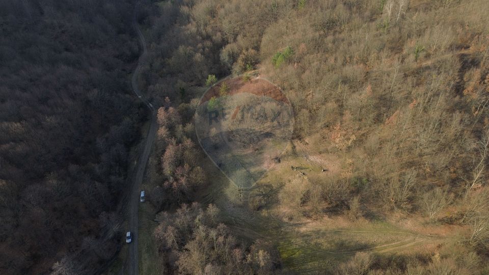 Poiană pentru cabana de vanzare intravilan Coas