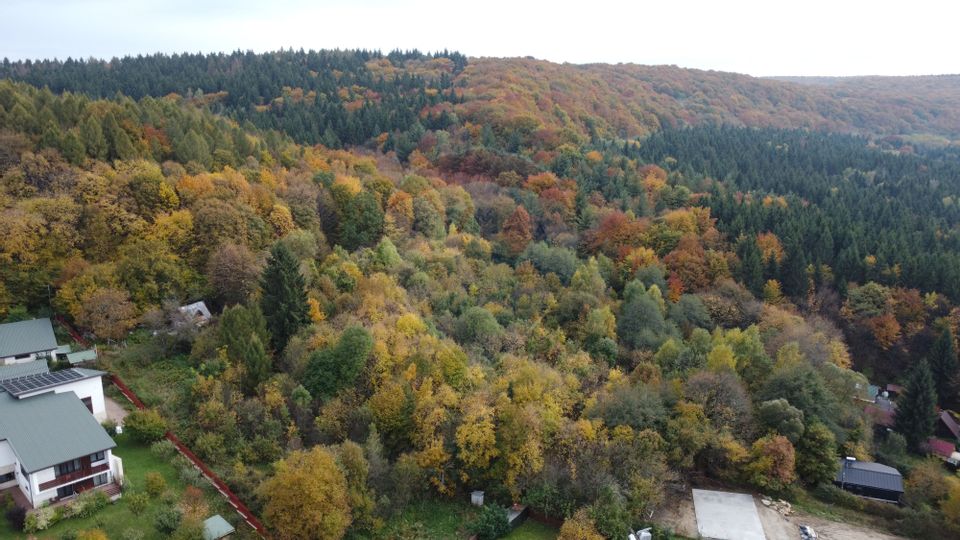 Teren de vanzare în Faget 1542 mp cu panorama