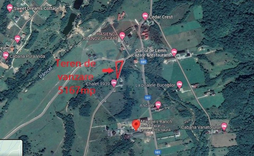 Comision Teren Rasnov - Strada Poiana velicanului, 5167mp