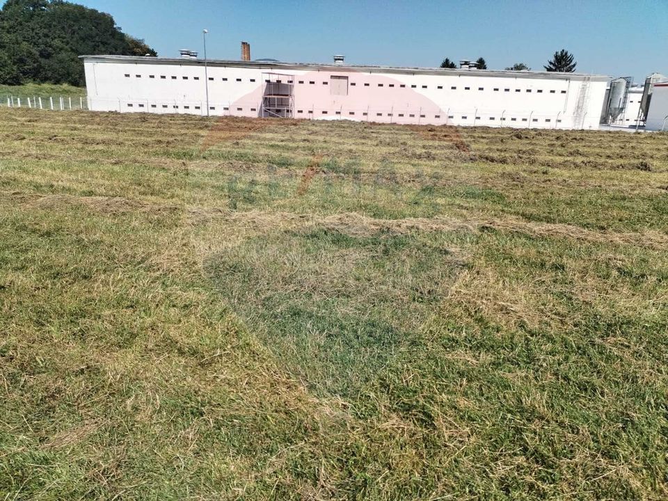 Land 3,700sqm Brasov / Strada Cucului