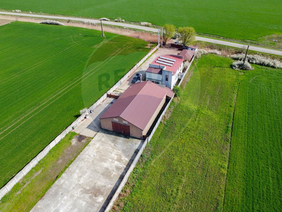 Casa + teren + hala de vanzare in Beregsau – 0% Comision