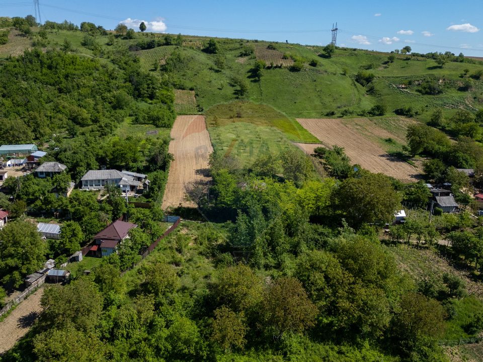 Teren 11.317 mp situat in Parava - Dragusani - Bacau