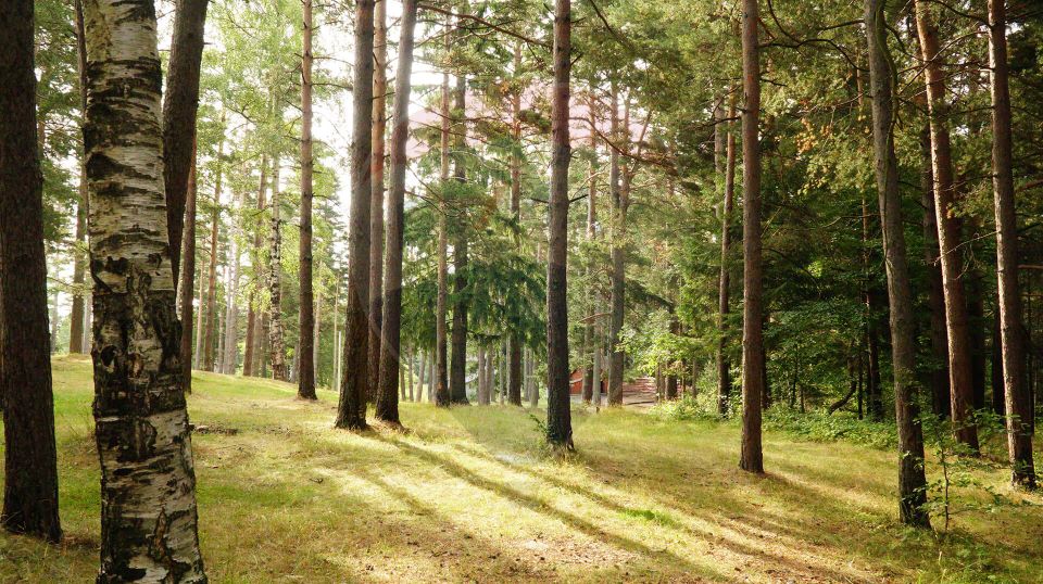 Guesthouse for sale | 12 rooms | Bisoca / Buzau