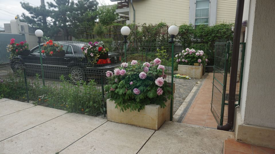 7 room House / Villa for sale