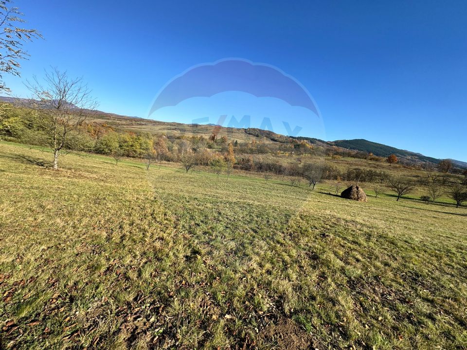 Teren 5,325mp Rona de Jos / Soseaua Prinncipala